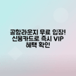 신용카드로 즉시 이용 가능한 공항라운지 리스트