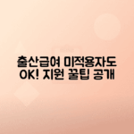 고용보험 미적용자 출산급여 지원 신청 방법과 혜택 안내