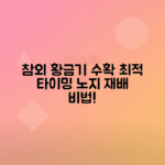 참외 수확 시기와 노지 재배의 최적 타이밍 안내