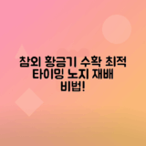 참외 수확 시기와 노지 재배의 최적 타이밍 안내