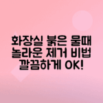 화장실 빨간 물때 원인과 해결 방법