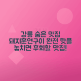 강릉 돼지훈연구이 숨은 맛집 매력 탐방