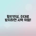 황반변성 증상, 종류, 치료 방법 총정리