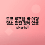 도쿄 여행 필수 루프탑 바와 야경 명소 탐방하기