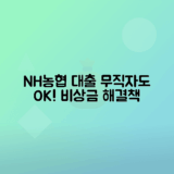 무직자를 위한 NH농협 올원 비상금대출 활용법