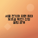 2024년 서울시 전기차 보조금 신청법 및 혜택 안내