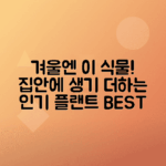 겨울철 실내 식물 추천 리스트