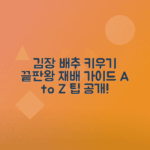 김장 배추 재배 과정, 심는 시기 총정리