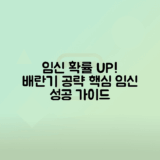 배란기 계산과 증상으로 임신 확률 높이는 방법
