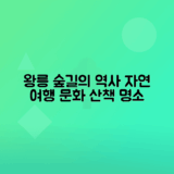 조선왕릉 숲길 탐방으로 역사와 자연의 조화 경험하기