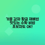 가을감자 최적 파종 시기와 재배 노하우