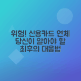 신용카드 연체 시 발생하는 문제와 효과적인 대응 방법