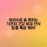 보리수 효능으로 기관지 및 천식 개선하는 방법