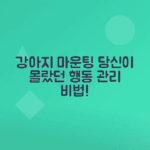 반려견 마운팅 원인, 올바른 대처법 안내