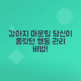 반려견 마운팅 원인, 올바른 대처법 안내