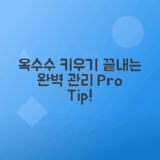 옥수수 재배 곁순 제거, 가지치기, 북주기, 웃거름 주는 방법