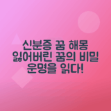 신분증 꿈해몽 신분증 잃어버리는 꿈과 찾는 꿈 정리