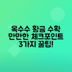 옥수수 수확 시기 확인 방법 3가지 팁