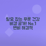 푸룬의 건강 효과로 탈모, 변비 예방하기