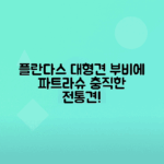 부비에 데 플랑드르 견종, 플란다스의 개 파트라슈 알아보기