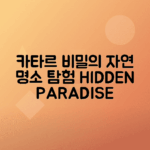 카타르 자연 공원 숨겨진 아름다움 탐험 방법