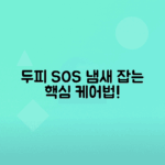 정수리 냄새 원인, 효과적인 두피 관리법 안내