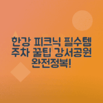 강서한강공원 피크닉 필수템, 주차 정보 안내