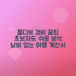 몰디브 여행 경비 상세 분석 방법