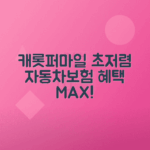 캐롯퍼마일자동차보험 저렴한 보험료, 풍성한 보장 혜택 안내