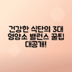 균형 잡힌 3대 영양소로 건강한 식단 만들기